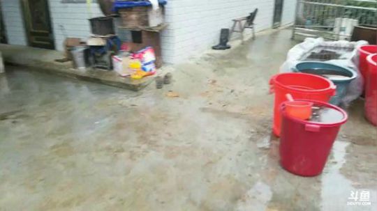 挖鳝鱼泥鳅了。 2018-01-24 11点场