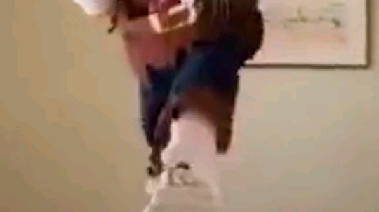 小动物都穿上衣服。