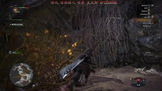 【R】mhw 怪物猎人的新 “世界”哈 2018-01-26 06点场