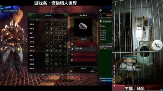 硕鼠的日常 2018-01-30 16点场