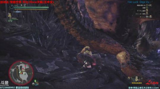 Liam:【最后的2018】天蝎怪猎世界P9.5