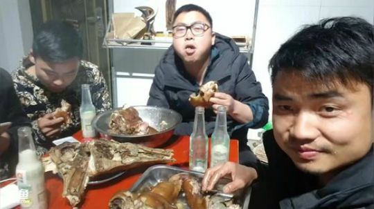 萝卜颠颠吃俩个猪头。 2018-01-31 19点场