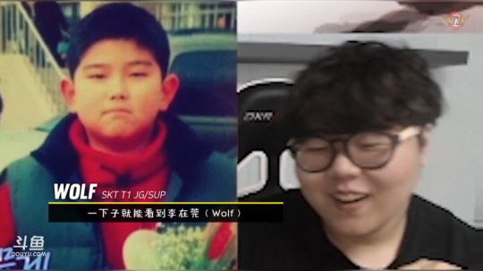 【Wolf闲聊】各位～！