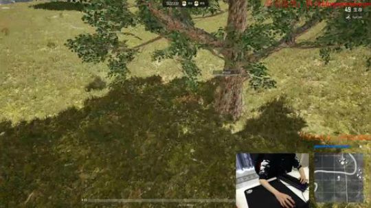 格调：1953569 2018-02-01 12点场