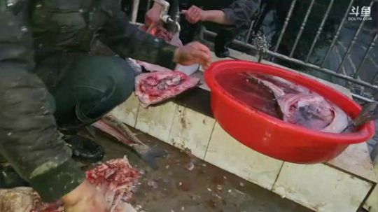 2.03号胜哥生日！把胜哥家的塘给干了！ 2018-02-01 17点场