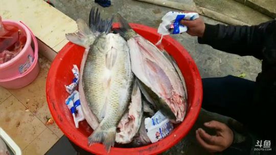 2.03胜哥生日！继续干胜哥家的鱼塘， 2018-02-02 09点场