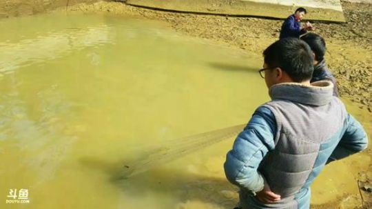 2.03胜哥生日！继续干胜哥家的鱼塘， 2018-02-02 10点场