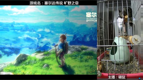 硕鼠的日常 2018-02-02 21点场