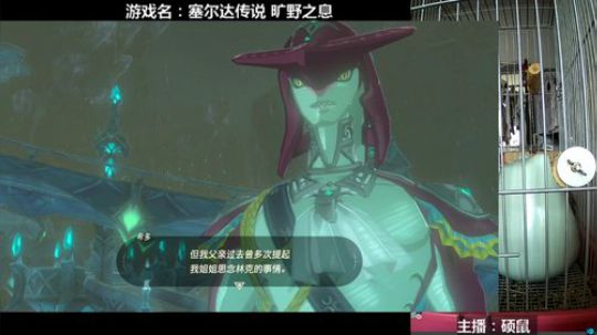 硕鼠的日常 2018-02-03 14点场