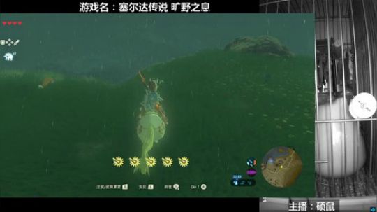 硕鼠的日常 2018-02-03 16点场