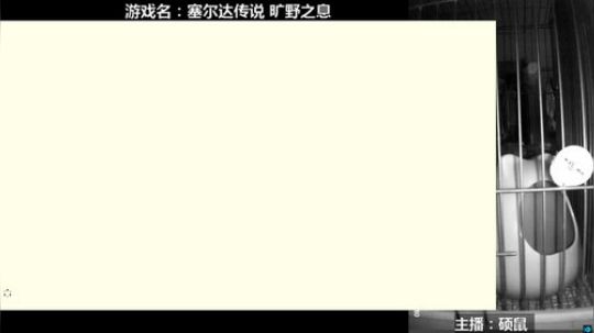 硕鼠的日常 2018-02-03 23点场