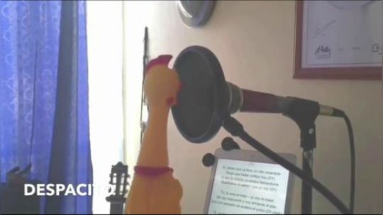百万调音师系列！小公鸡翻唱despacito深入灵魂的演唱！
