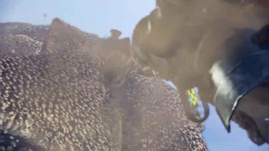 【银色】怪物猎人：世界 | Accolades| PS4