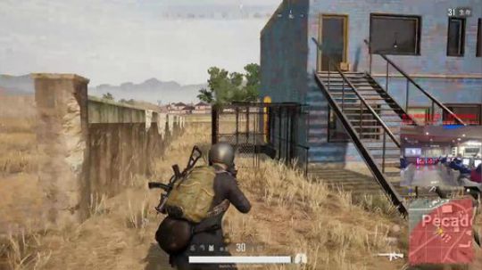 【狐半仙】常驻网吧的狐狸！ 2018-02-09 19点场