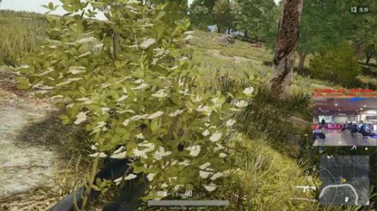 【狐半仙】春节不休息的狐狸！ 2018-02-11 21点场