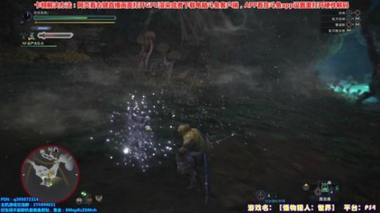 十年最皮太刀—“老”猎人带你狩猎 2018-02-13 23点场