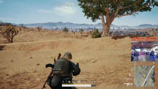 【狐半仙】春节不休息的狐狸！ 2018-02-13 20点场