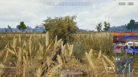 狗年行大运，财源滚滚来！ 2018-02-17 00点场