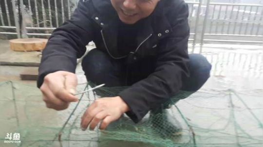 新的一年新的开始。 2018-02-19 11点场