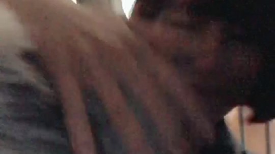 狗活得比人好系列(｡ì _ í｡)