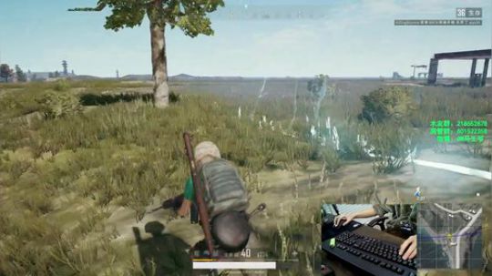 马王爷：&amp;quot;鸡&amp;quot;将结束，&amp;quot