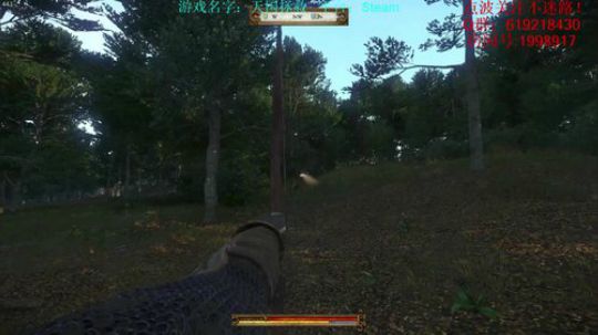 【二狗】天国拯救！骑砍玩家的自我救赎 2018-02-21 19点场
