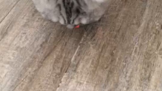 吃个止疼药，能量打满