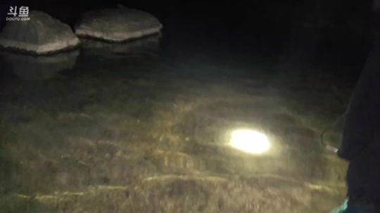 黑夜带水友一起野外徒手捉鱼！ 2018-02-22 19点场