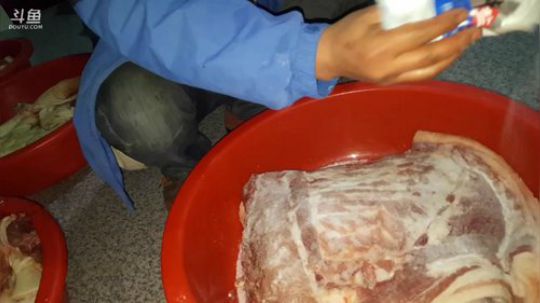 老二一个人挑战一头猪？ 2018-02-23 20点场