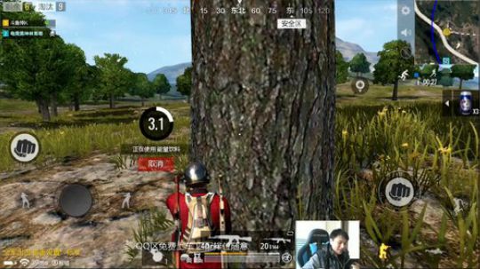 小K：一日之鸡在于晨 2018-02-23 08点场