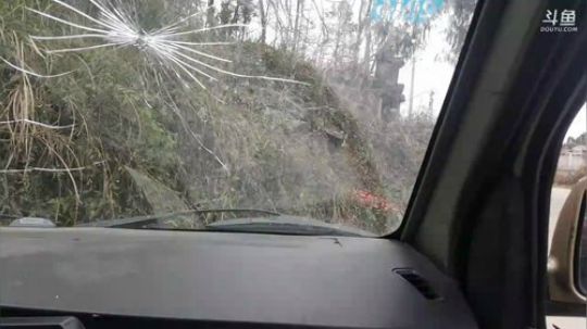 美食:干锅猪肚红烧鲤鱼。 2018-02-24 13点场