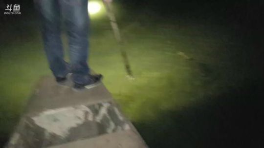 夜战水库，颠颠的鱼叉已经饥渴难耐 2018-02-24 22点场