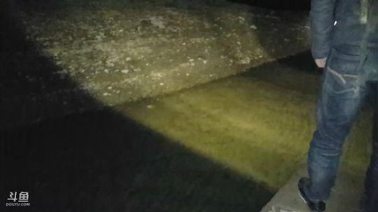 夜战水库，颠颠的鱼叉已经饥渴难耐 2018-02-24 22点场