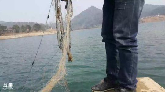 收网，挖竹笋！ 2018-02-25 11点场