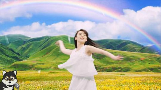 这部神剧从看吐到笑尿只要5分钟！