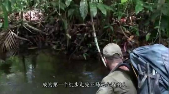 埃德斯塔福特：穿越亚马逊