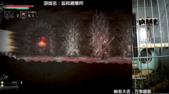 硕鼠的日常 2018-02-28 14点场