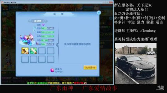 400丹洗老虎~有看点 嘿嘿