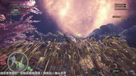 怪物猎人世界 全程初始武器禁道具开荒 2018-02-27 23点场