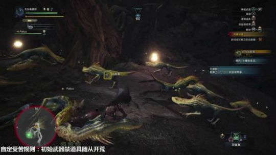 怪物猎人世界 全程初始武器禁道具开荒 2018-02-26 20点场