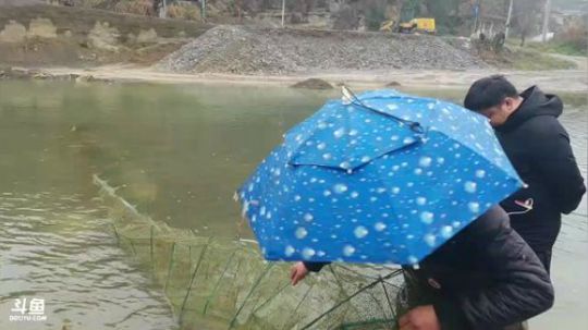 河道抢救大地笼。 2018-03-06 11点场