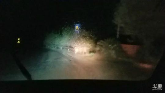 给敢死队送猪来了， 2018-03-06 21点场