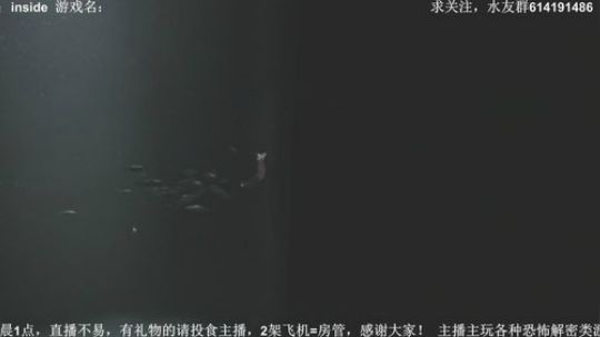 【素年】各种惊悚恐怖游戏，你爱看的这都有 2018-03-08 19点场