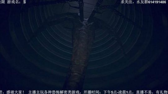 【素年】各种惊悚恐怖游戏，你爱看的这都有 2018-03-09 21点场
