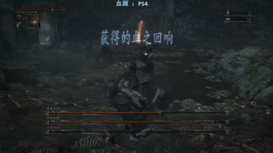 血源，亚南人民热烈欢迎你5