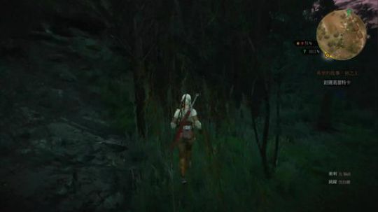 银剑斩妖，钢剑除恶—巫师3二周目最高难度 2018-03-09 23点场