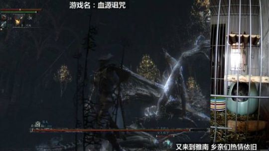 硕鼠的日常 2018-03-11 16点场