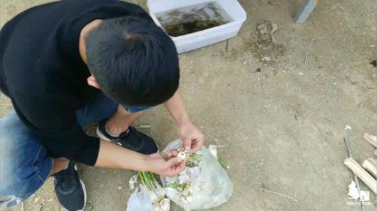 天气好鱼获多？ 2018-03-12 15点场