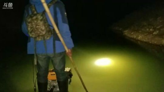 水库插鱼，能上大鱼吗 2018-03-12 22点场