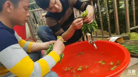 收集山野食材 2018-03-13 15点场